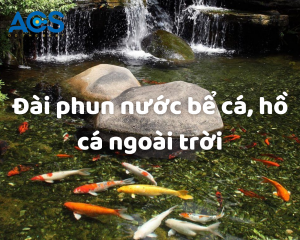 Đài phun nước bể cá, hồ cá ngoài trời