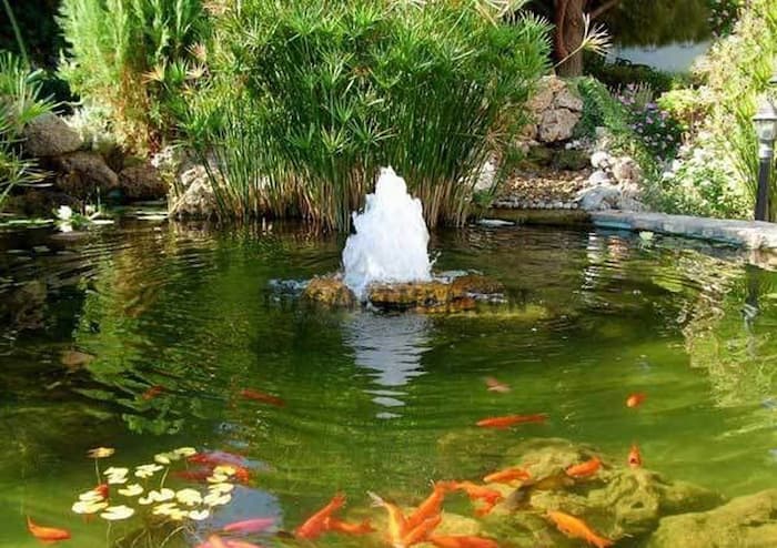 Loại đầu phun nước nào phù hợp cho hồ nhỏ nhưng vẫn tạo được hiệu ứng đẹp mắt? Giải pháp phối hợp nhiều đầu phun nước trong một hồ nhỏ