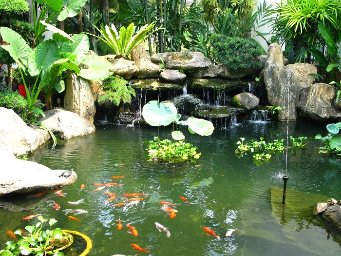 Loại đầu phun nước nào phù hợp cho hồ nhỏ nhưng vẫn tạo được hiệu ứng đẹp mắt? ACS – Đơn vị cung cấp và thi công đầu phun nước cho hồ nhỏ uy tín