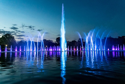 Đầu tư thông minh từ đơn vị cung cấp uy tín