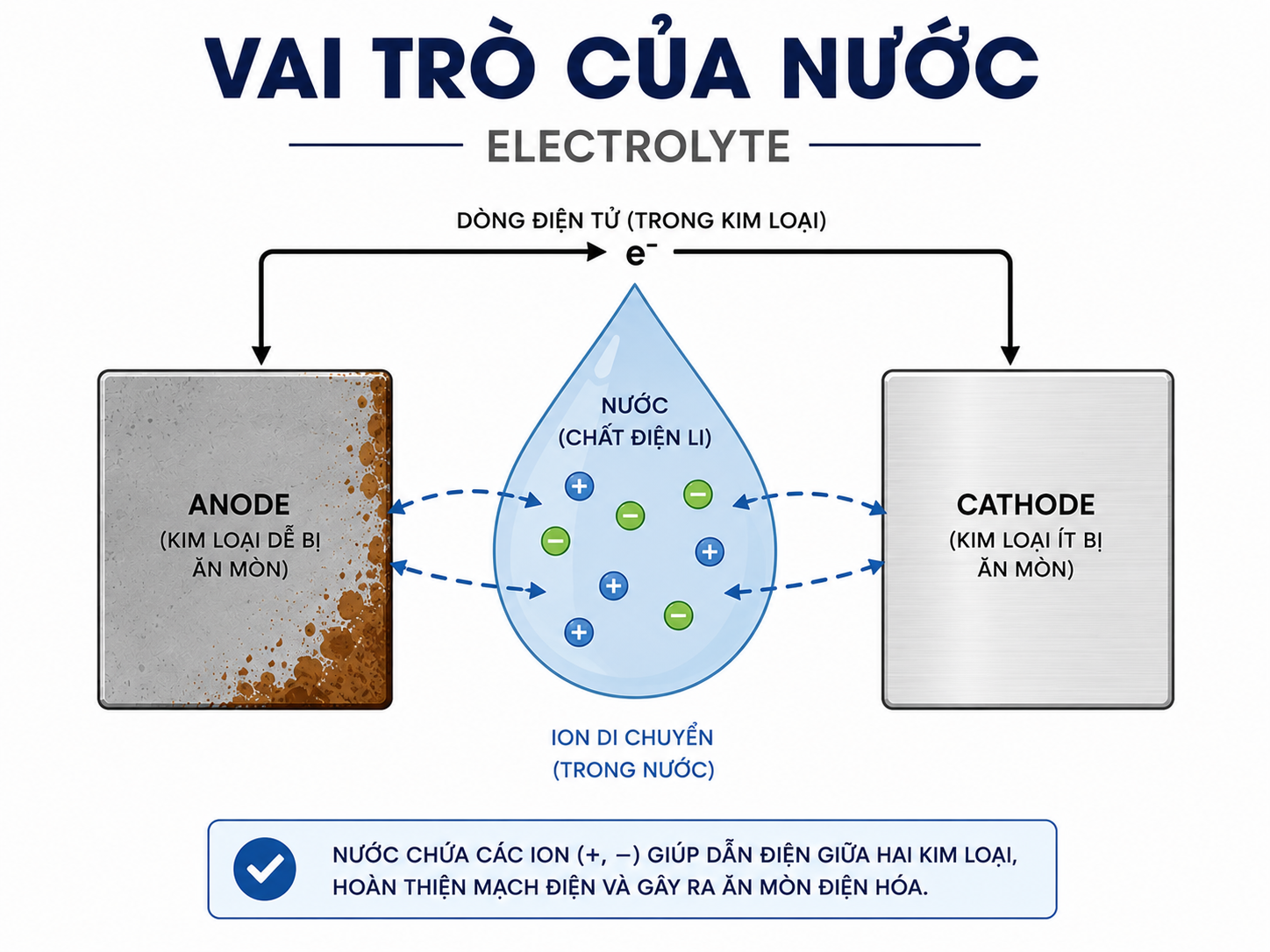 Vi-sao-nuoc-dong-vai-tro-quan-trong-trong-qua-trinh-an-mon