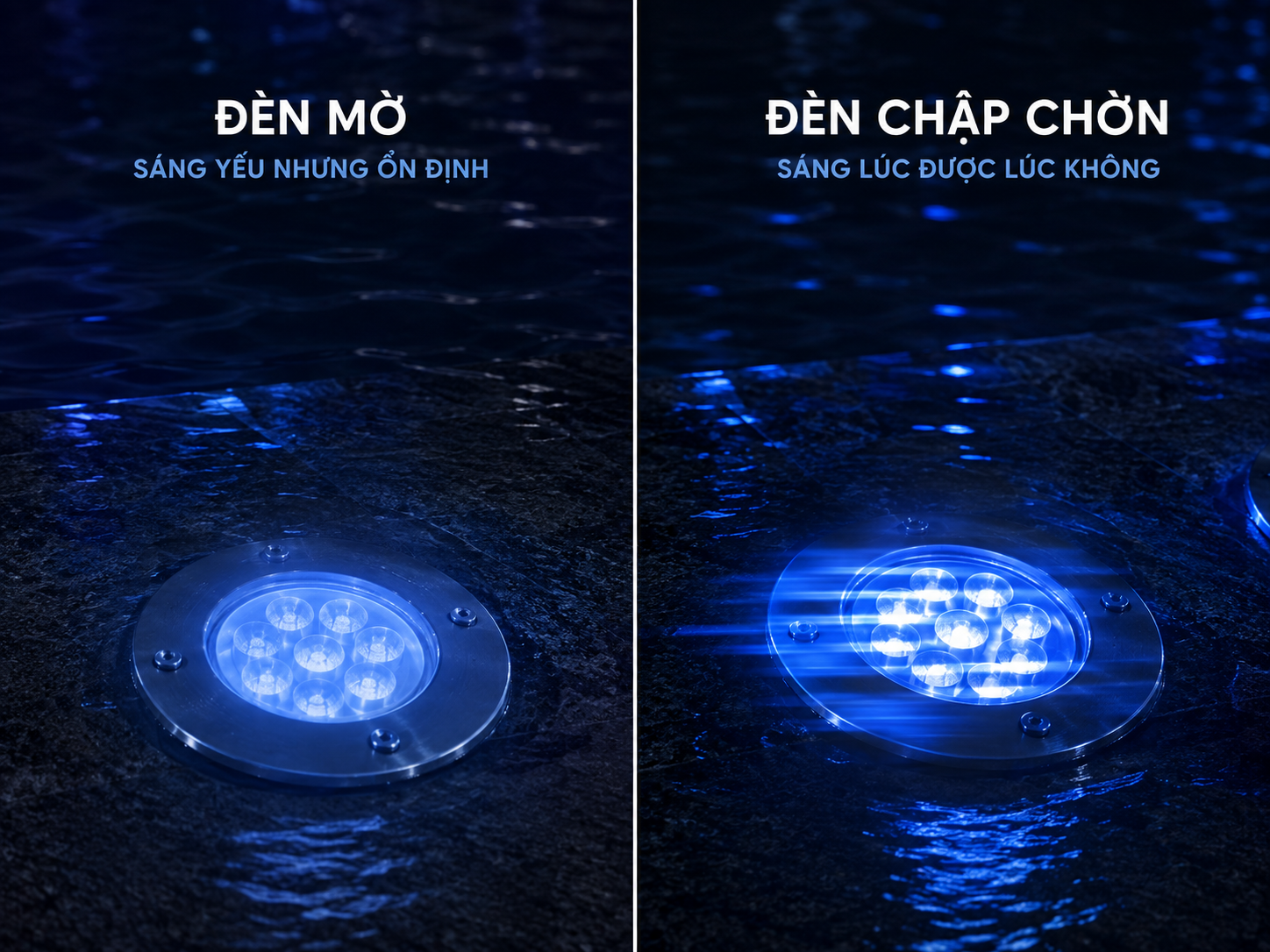 phan-biet-den-mo-va-den-chap-chon